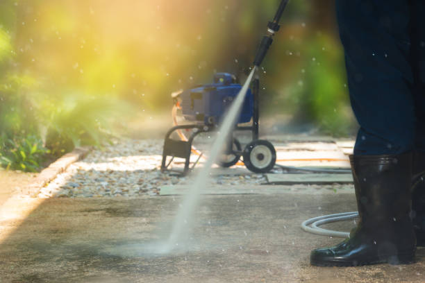Best Roof Washing  in Oroville, CA